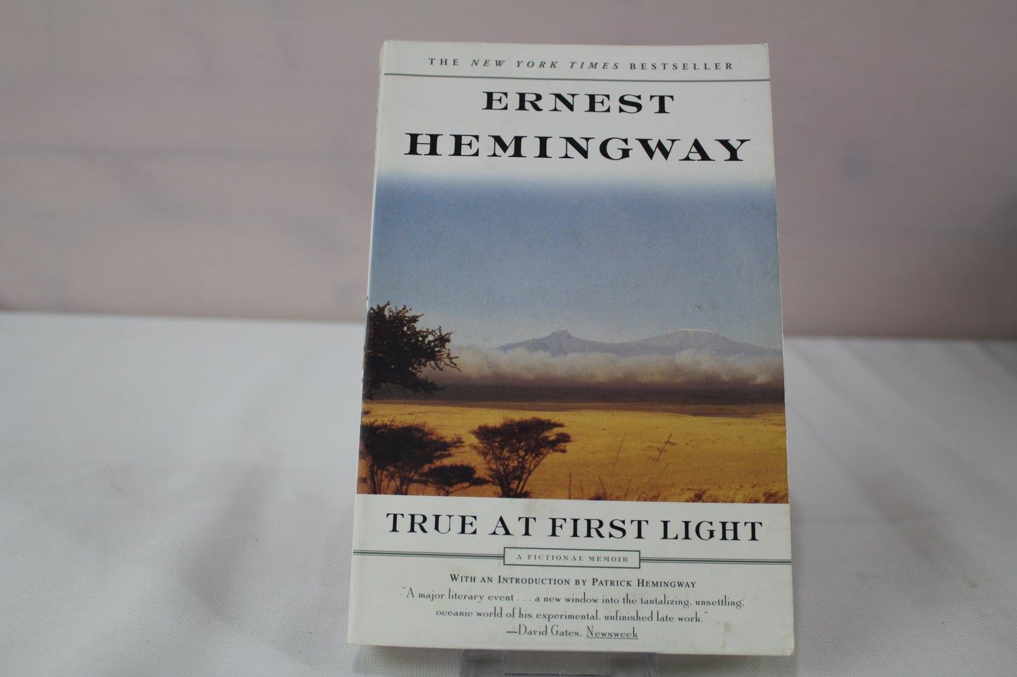 True at First Light: A Fictional Memoir by Ernest Hemingway