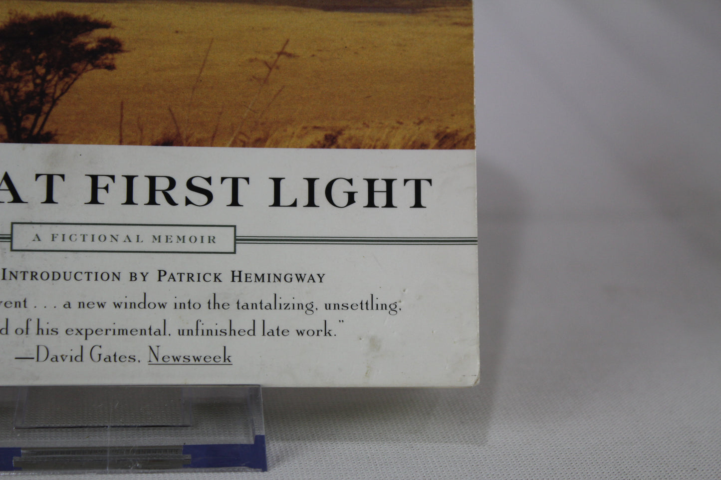 True at First Light: A Fictional Memoir by Ernest Hemingway