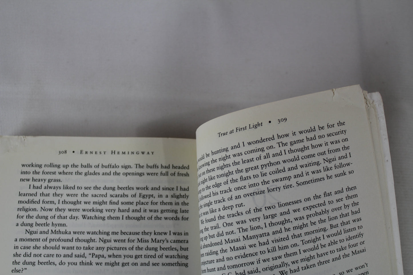 True at First Light: A Fictional Memoir by Ernest Hemingway