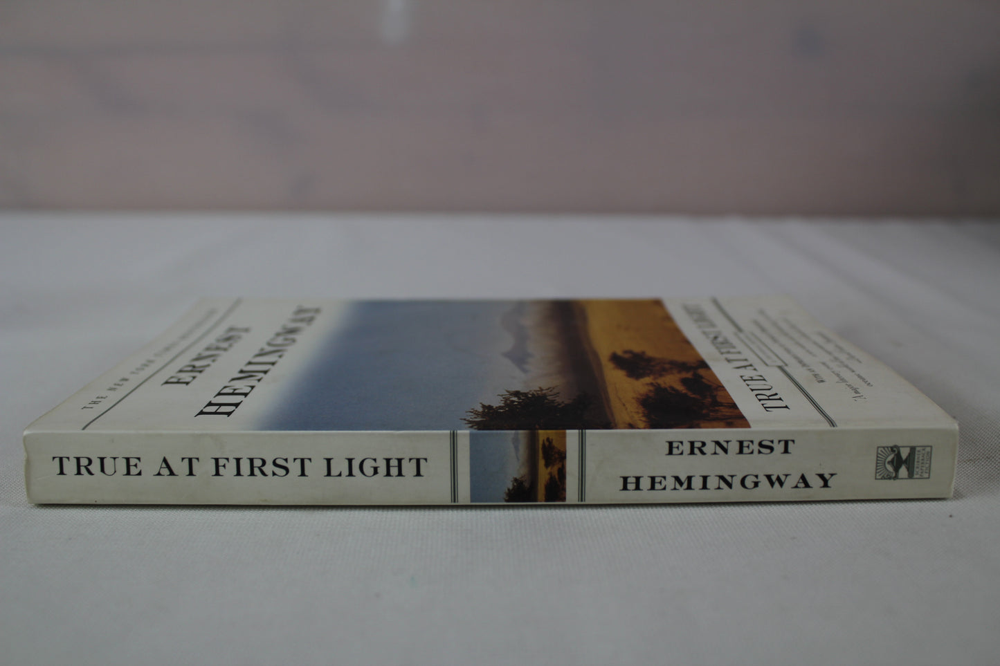 True at First Light: A Fictional Memoir by Ernest Hemingway