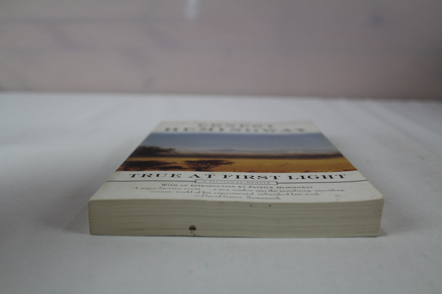 True at First Light: A Fictional Memoir by Ernest Hemingway