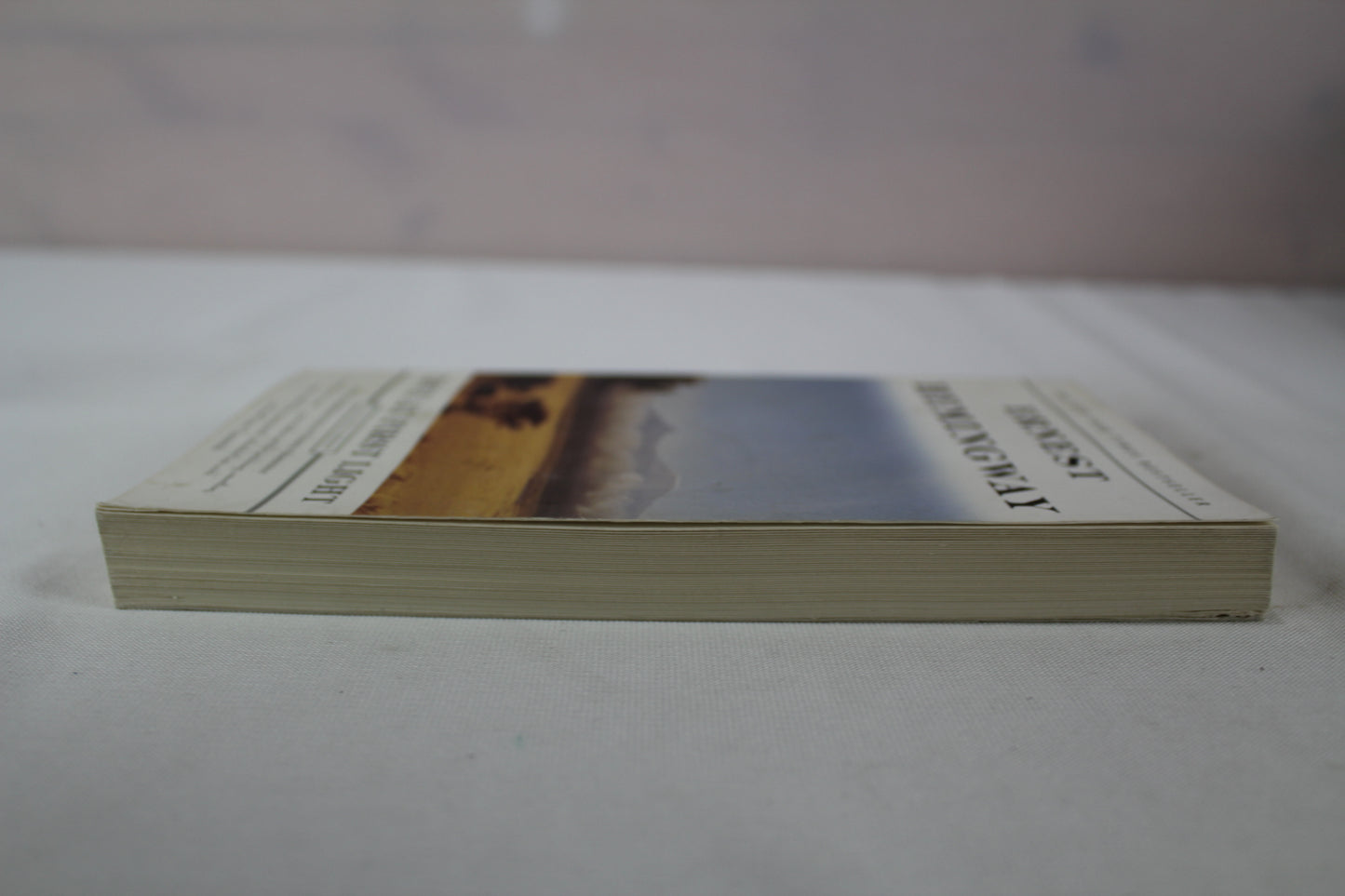 True at First Light: A Fictional Memoir by Ernest Hemingway