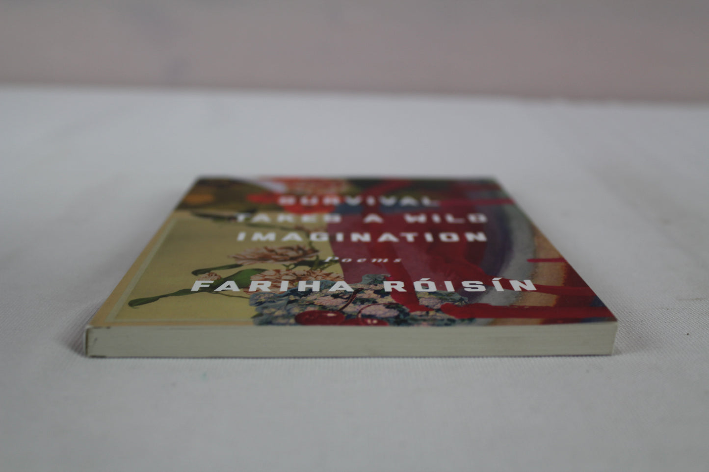 Survival Takes a Wild Imagination: Poems by Fariha Róisín