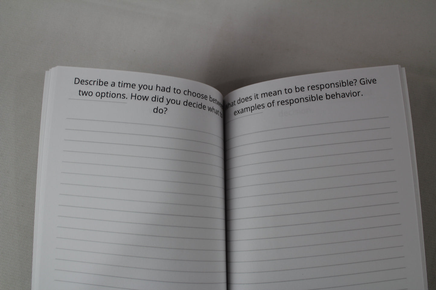 SEL Witing prompts: Elementary Students by Mr Tiaan van Vuuren (2024)