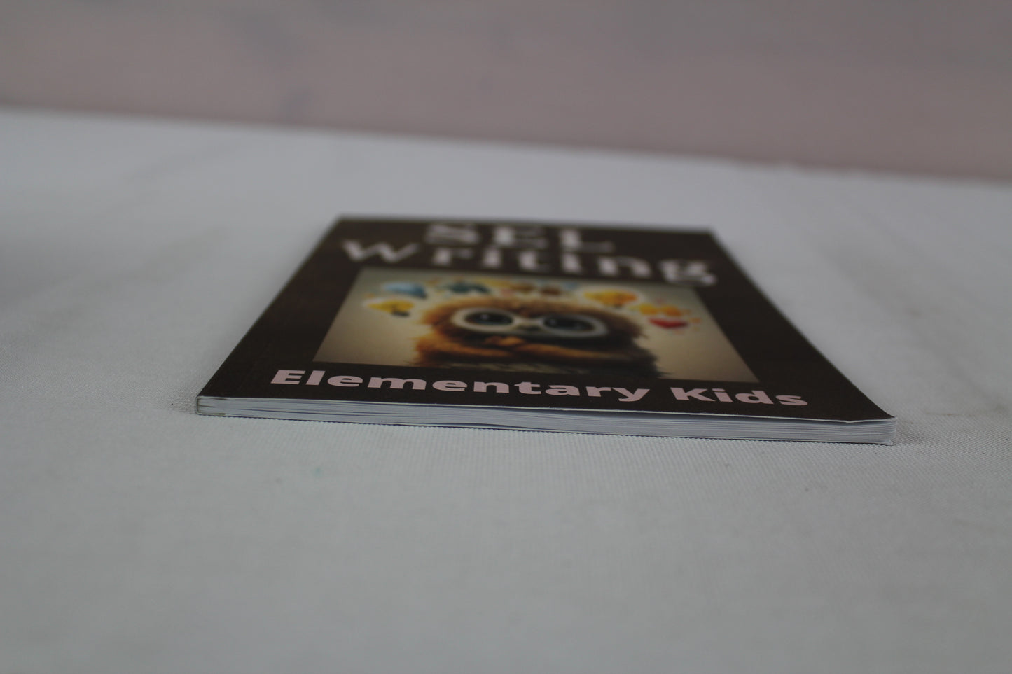 SEL Witing prompts: Elementary Students by Mr Tiaan van Vuuren (2024)