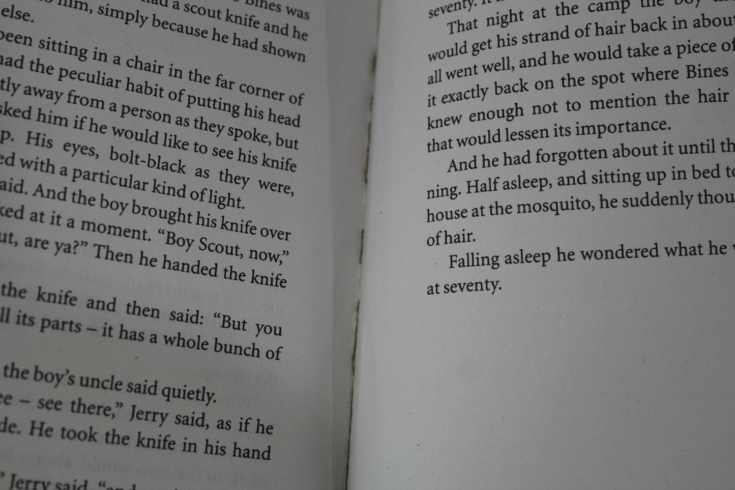 For Those Who Hunt the Wounded Down by David Adams Richards