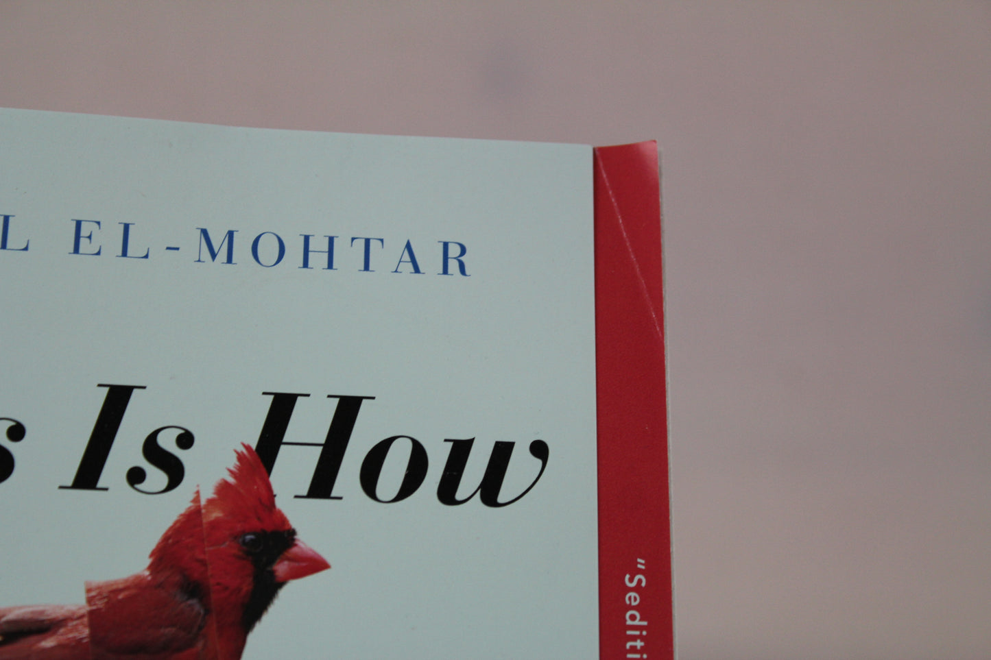This Is How You Lose the Time War by Amal El-Mohtar, Max Gladstone