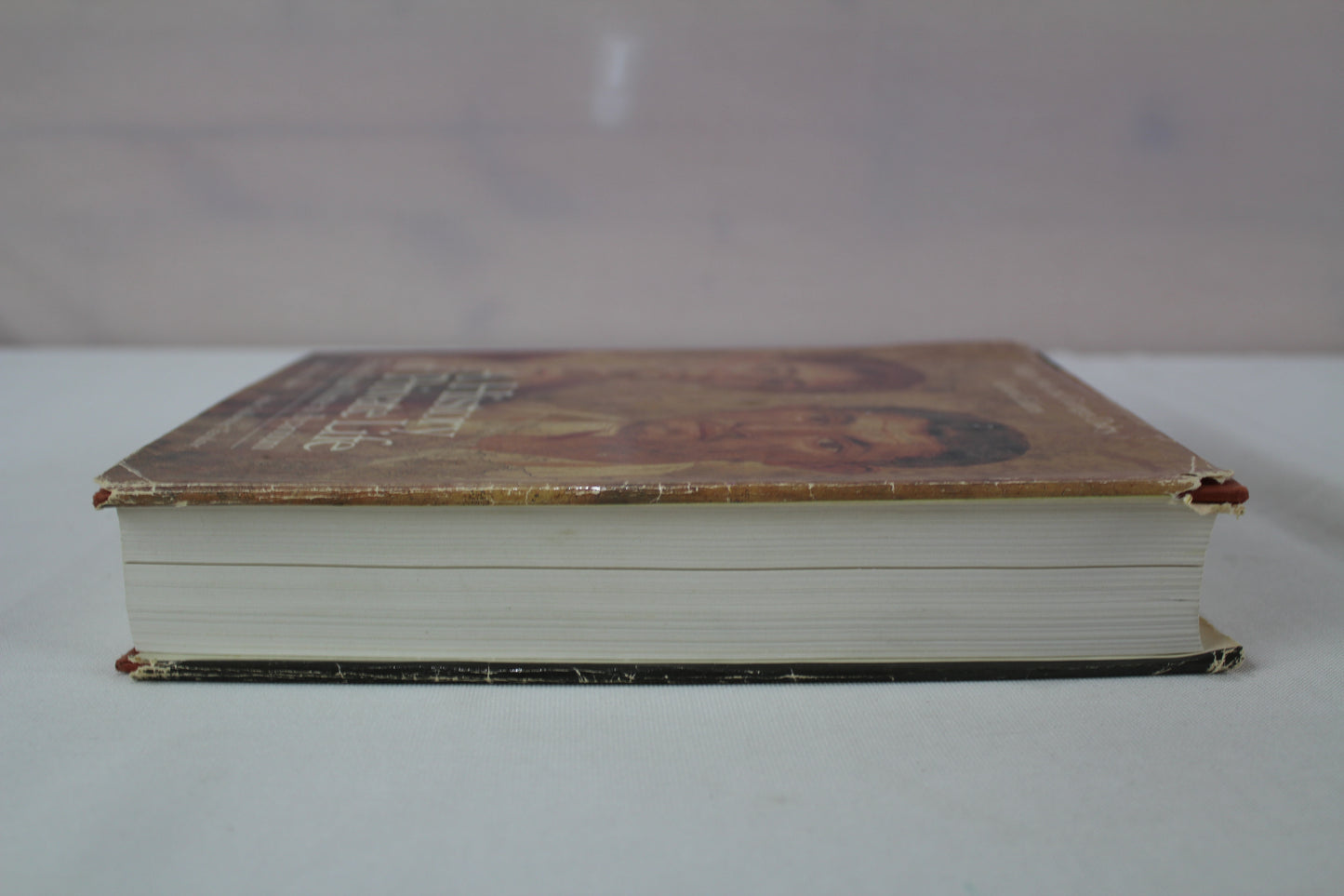 History of Private Life, Volume I: From Pagan Rome to Byzantium by Paul Veyne, Phillippe Ariès, Georges Duby, Arthur Goldhammer