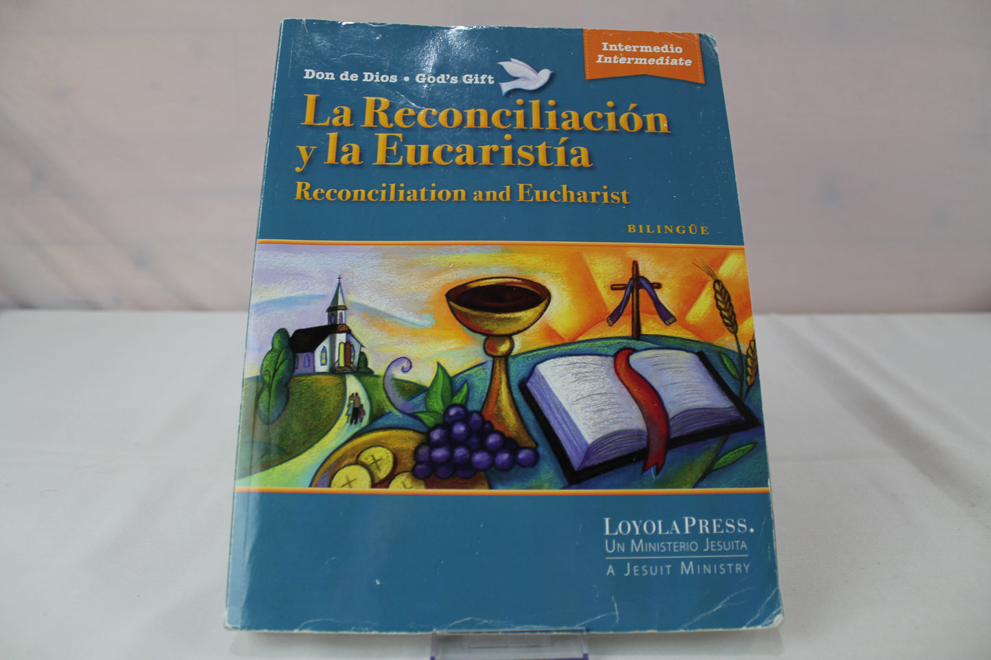 2016 God’s Gift Intermediate Young People's Book (Bilingual) by Loyola Press