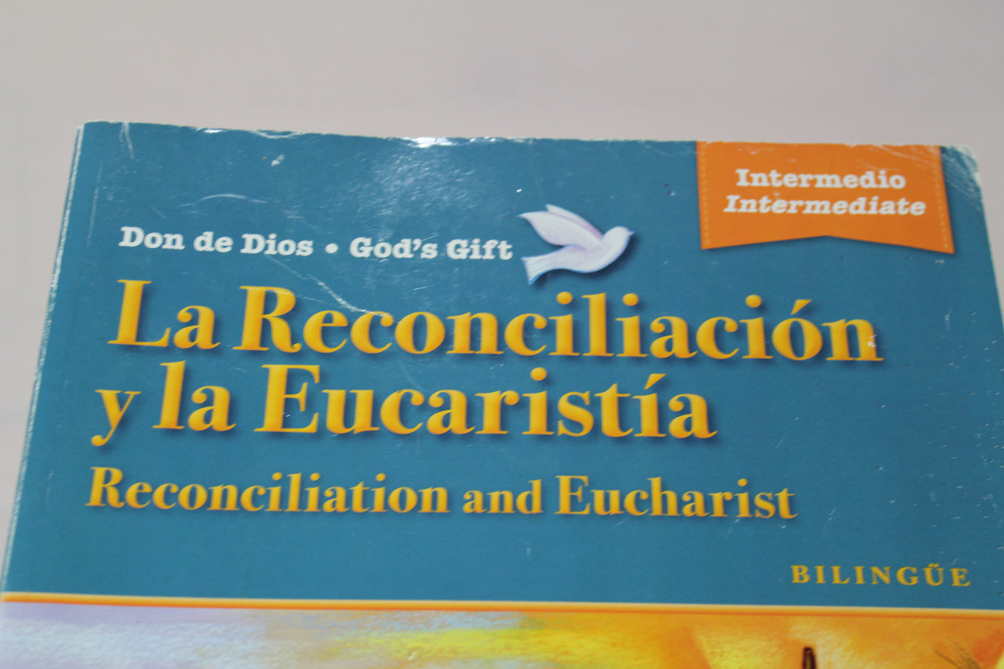 2016 God’s Gift Intermediate Young People's Book (Bilingual) by Loyola Press