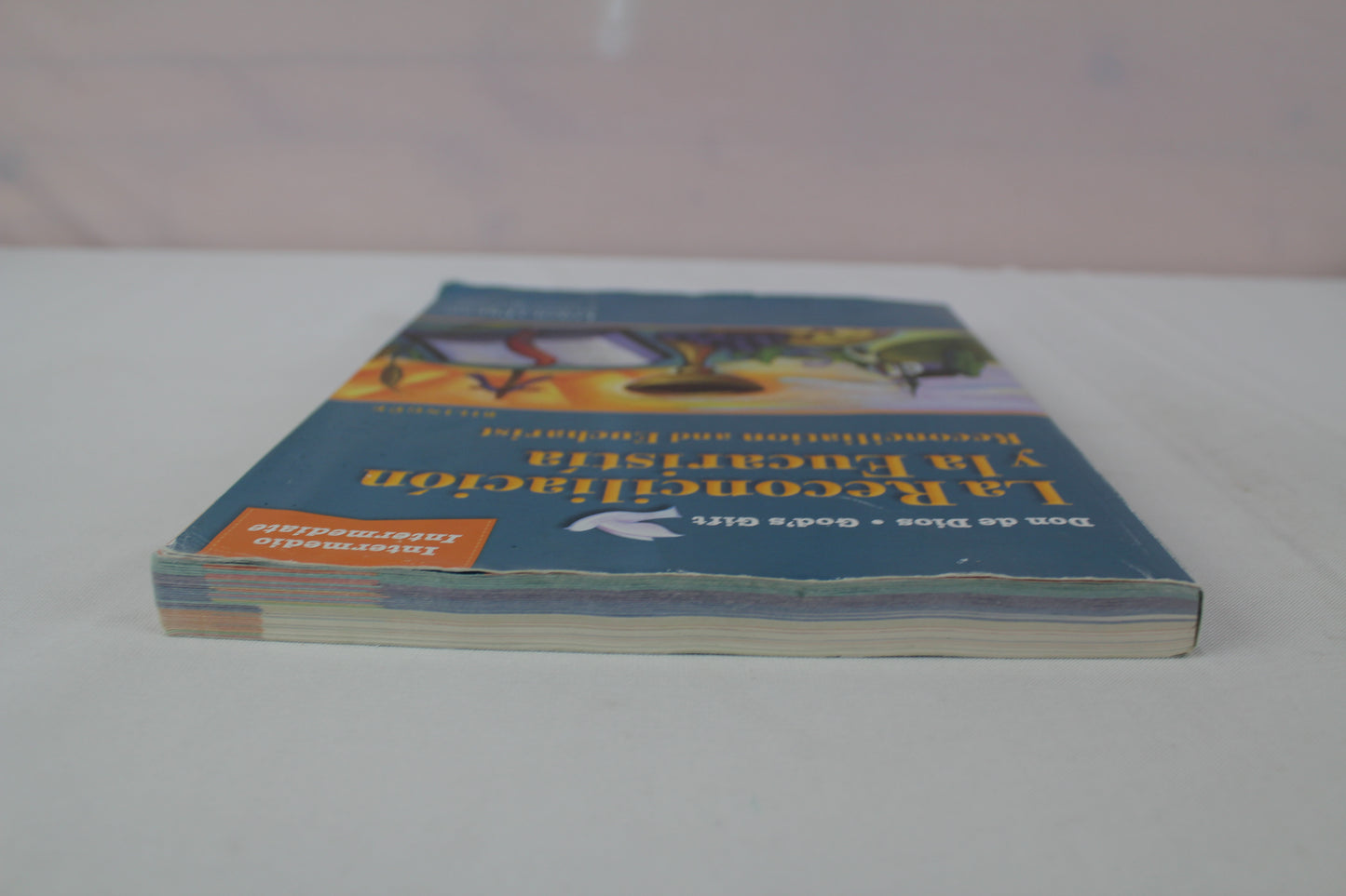 2016 God’s Gift Intermediate Young People's Book (Bilingual) by Loyola Press