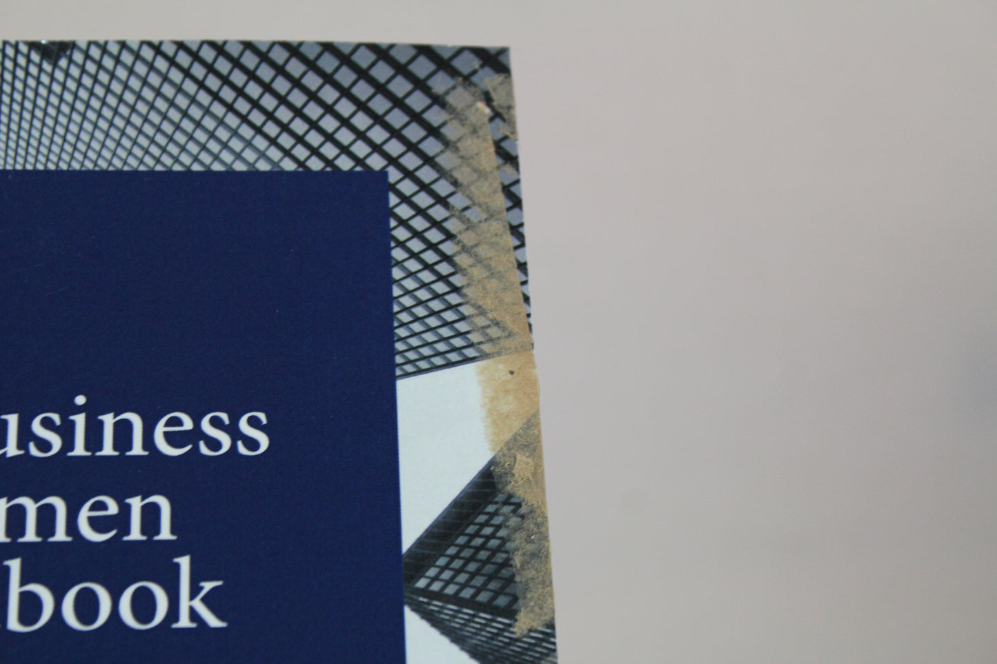 The Business Acumen Handbook: Everything You Need to Know to Succeed in the Corporate World by Steven Haines