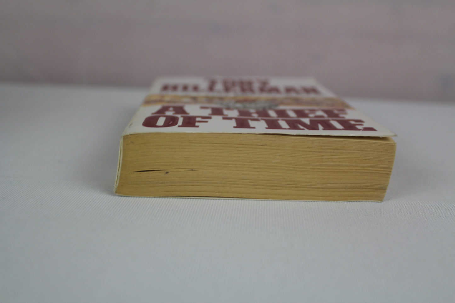 A Thief of Time by Tony Hillerman