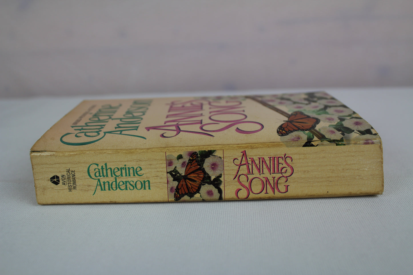 Annie's Song: A Tender and Sweet Historical Romance About Innocent Love and Healing by Catherine Anderson