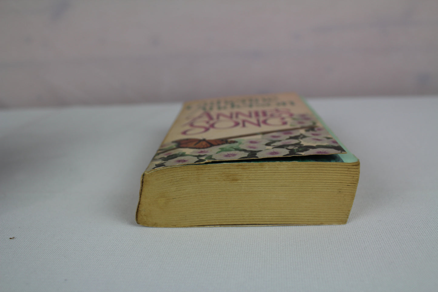 Annie's Song: A Tender and Sweet Historical Romance About Innocent Love and Healing by Catherine Anderson