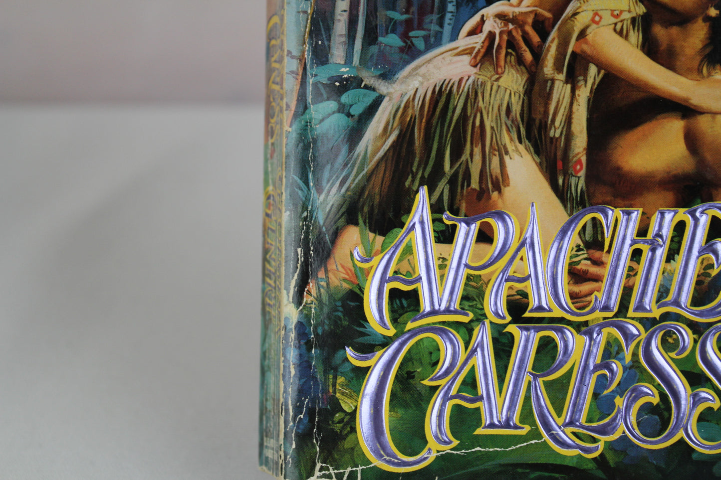 Apache Caress by Georgina Gentry