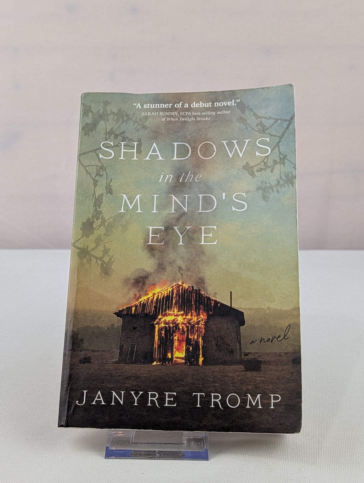Shadows in the Mind's Eye: A Novel by Janyre Tromp