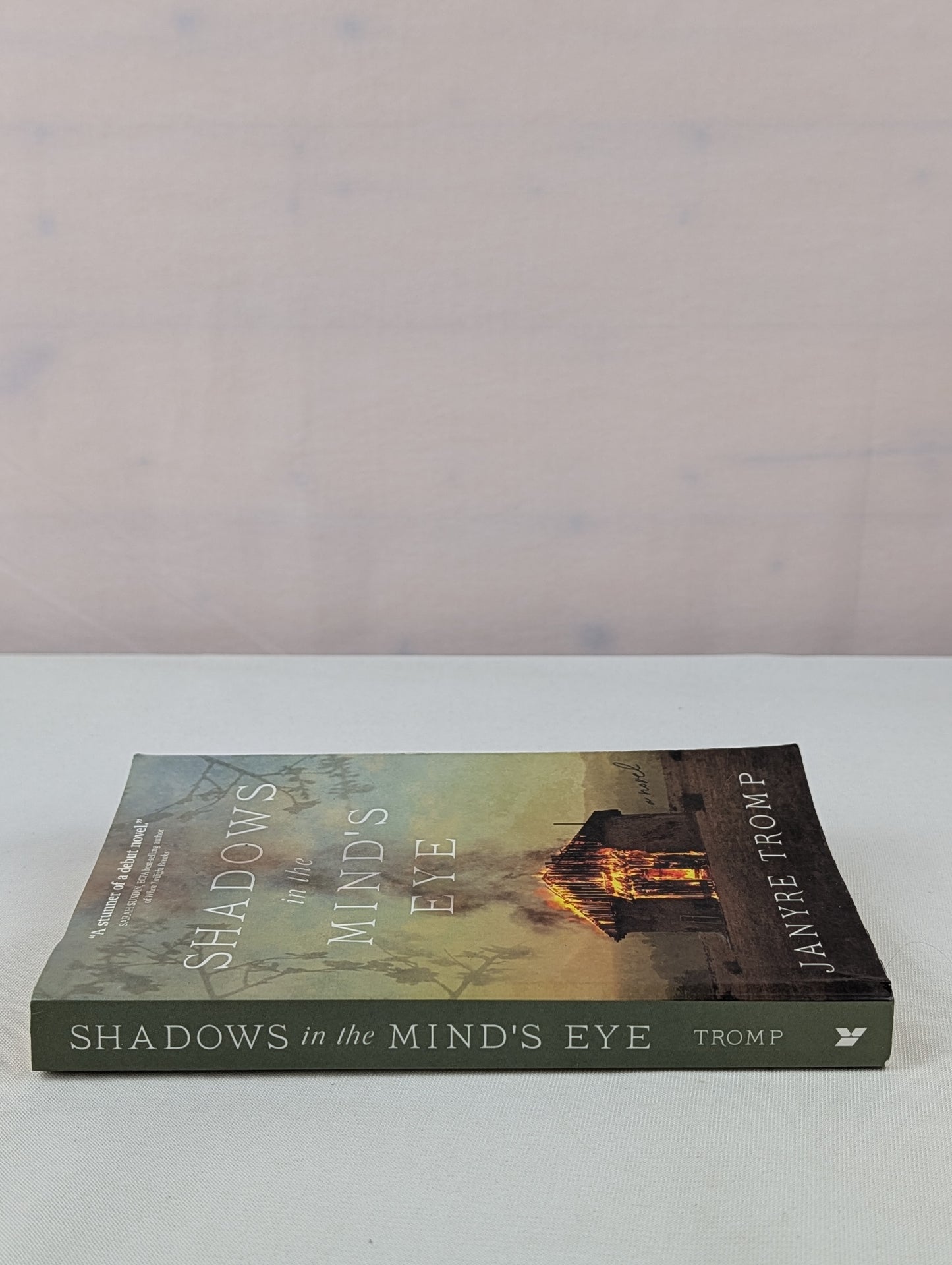 Shadows in the Mind's Eye: A Novel by Janyre Tromp