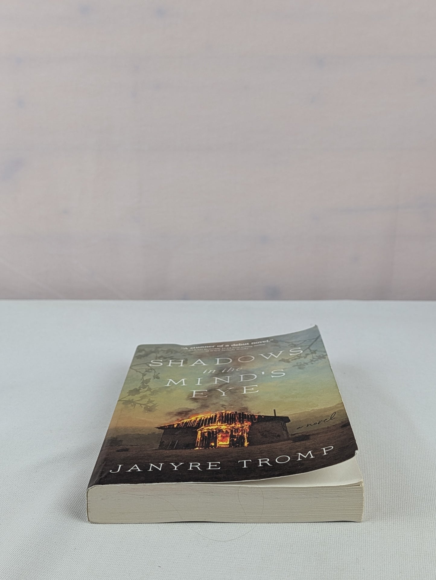 Shadows in the Mind's Eye: A Novel by Janyre Tromp