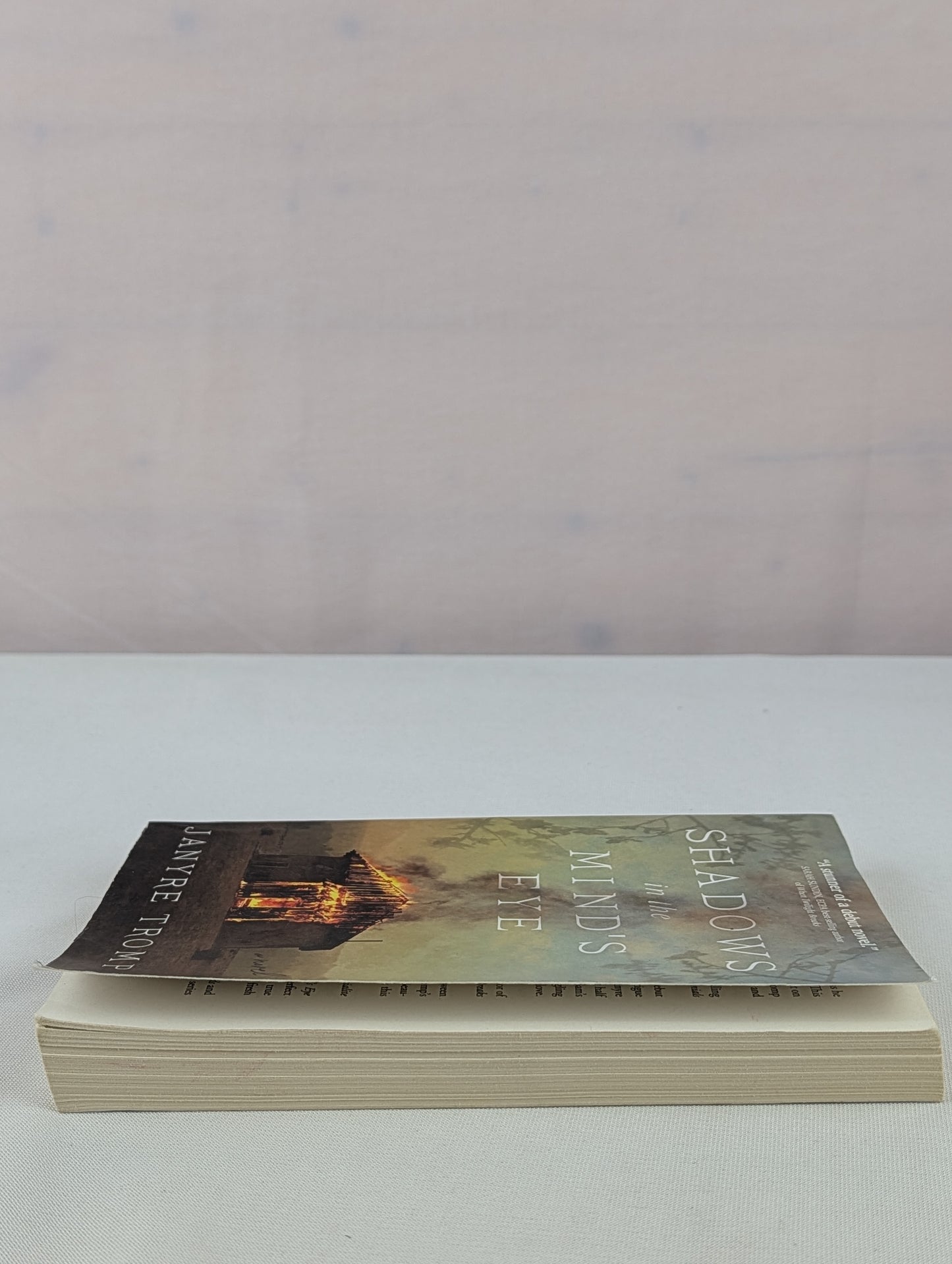Shadows in the Mind's Eye: A Novel by Janyre Tromp