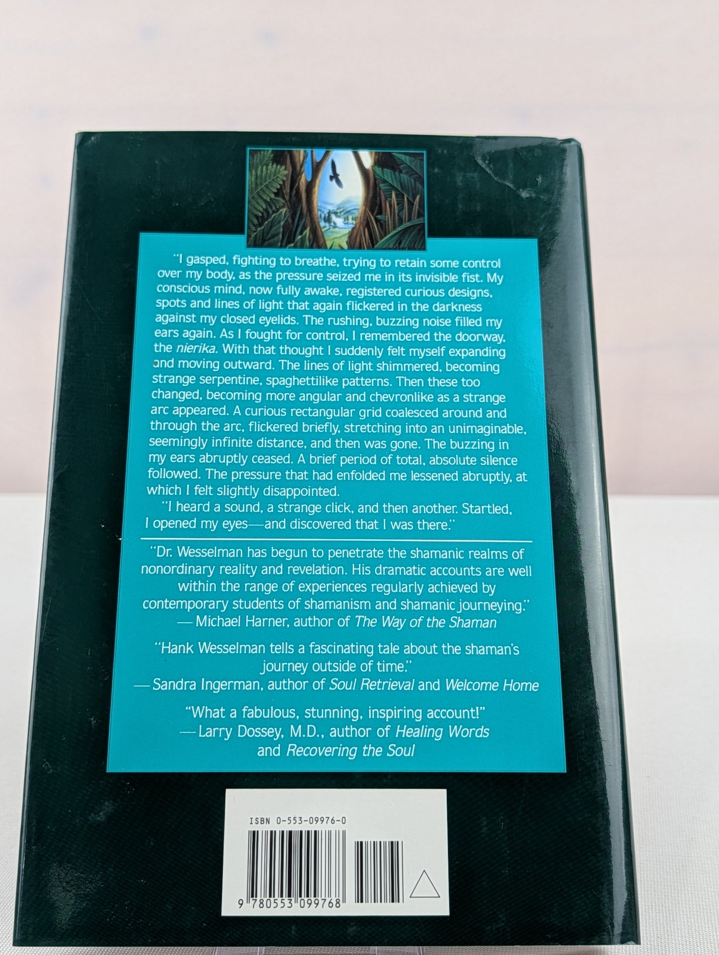 Spiritwalker: Messages from the Future by Hank Wesselman
