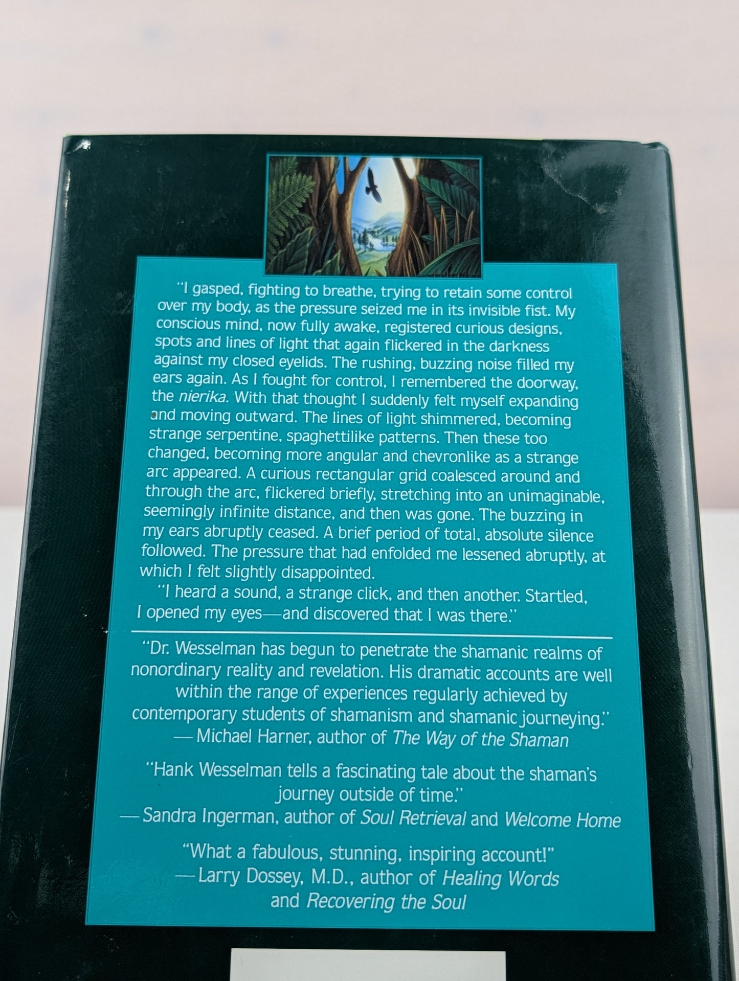 Spiritwalker: Messages from the Future by Hank Wesselman