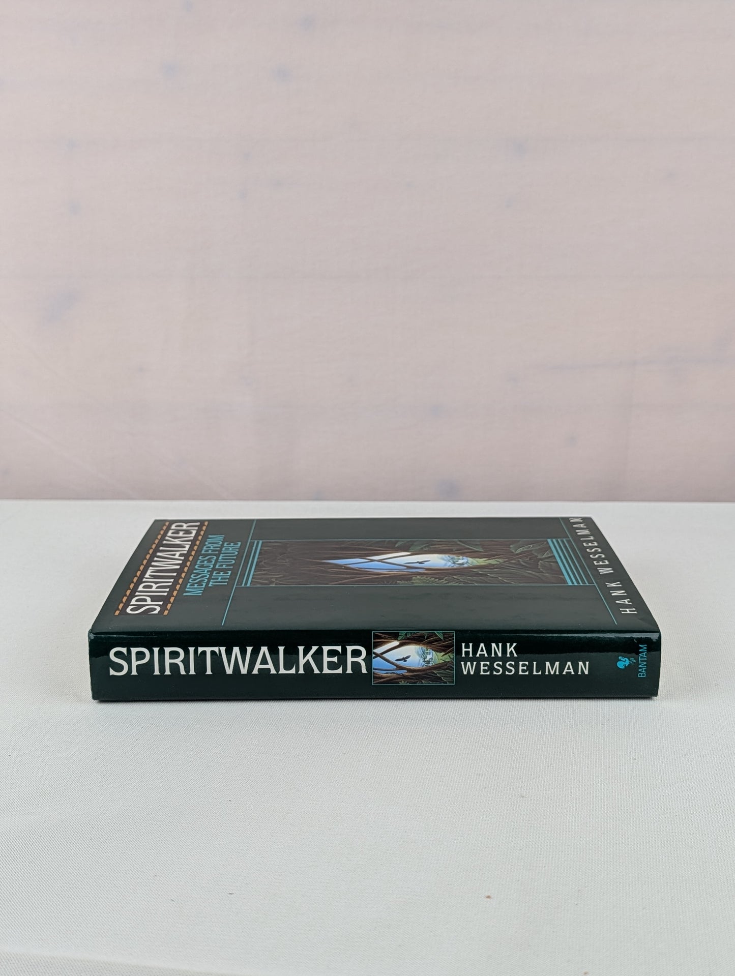 Spiritwalker: Messages from the Future by Hank Wesselman
