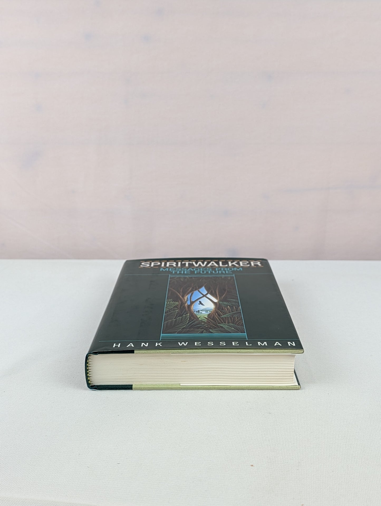 Spiritwalker: Messages from the Future by Hank Wesselman