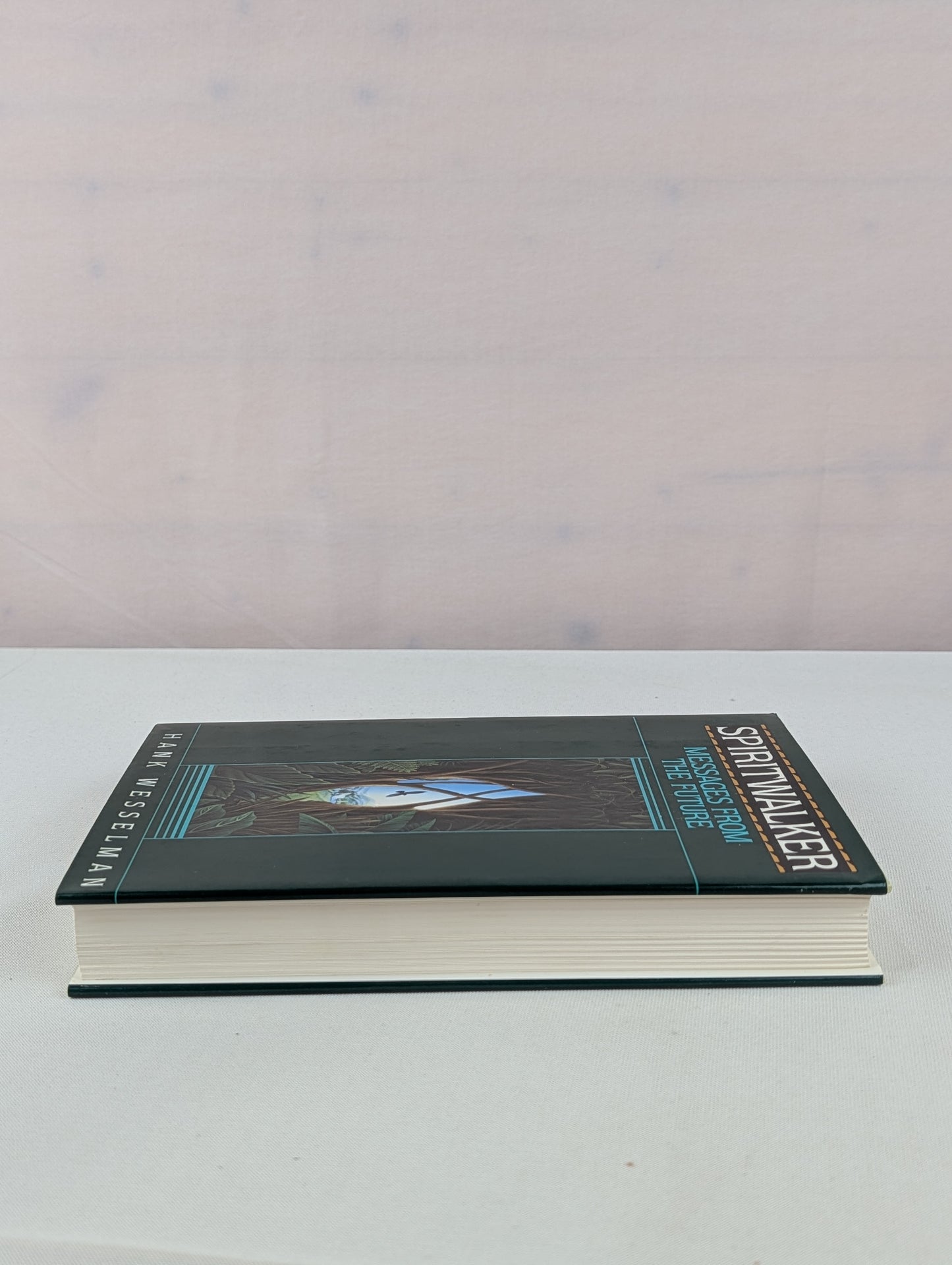Spiritwalker: Messages from the Future by Hank Wesselman