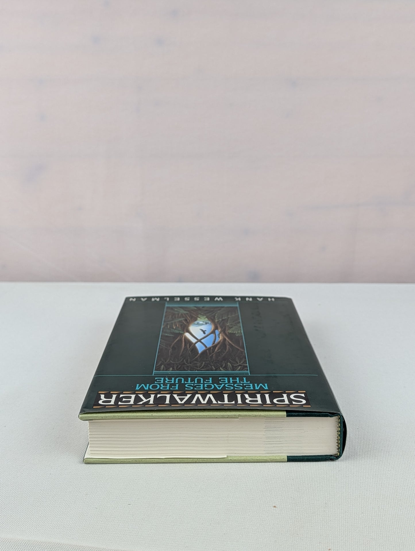 Spiritwalker: Messages from the Future by Hank Wesselman