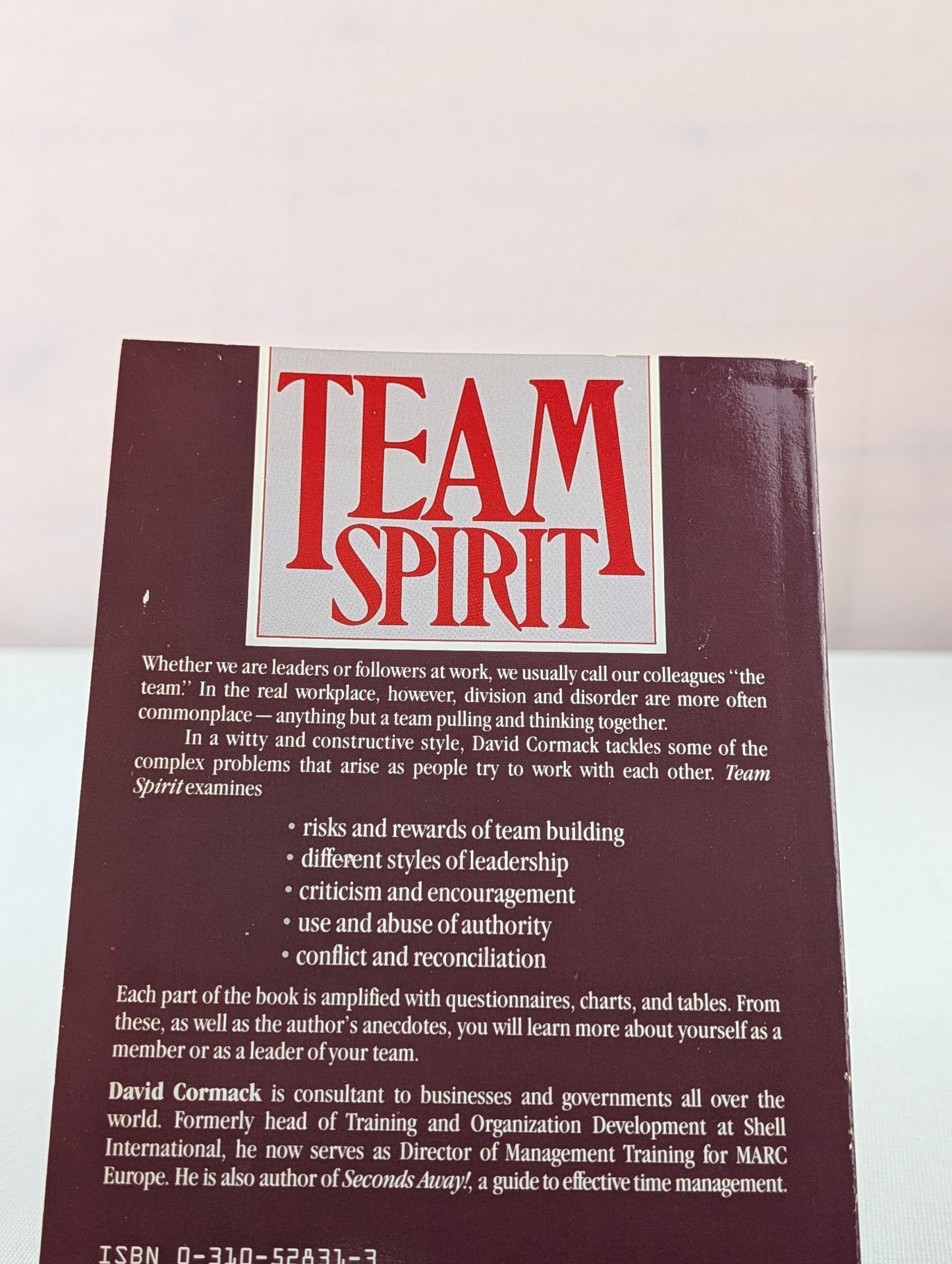 Team Spirit: A Management Handbook/Team Motivation and Commitment, Team Leadership and Membership, Team Evaluation