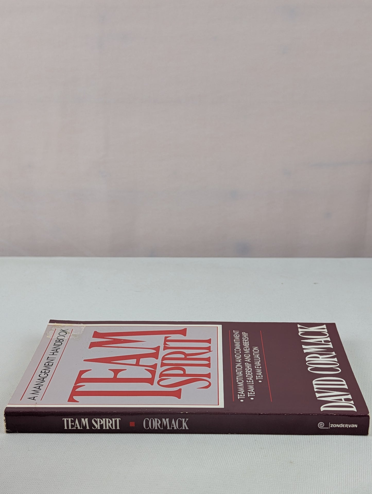 Team Spirit: A Management Handbook/Team Motivation and Commitment, Team Leadership and Membership, Team Evaluation