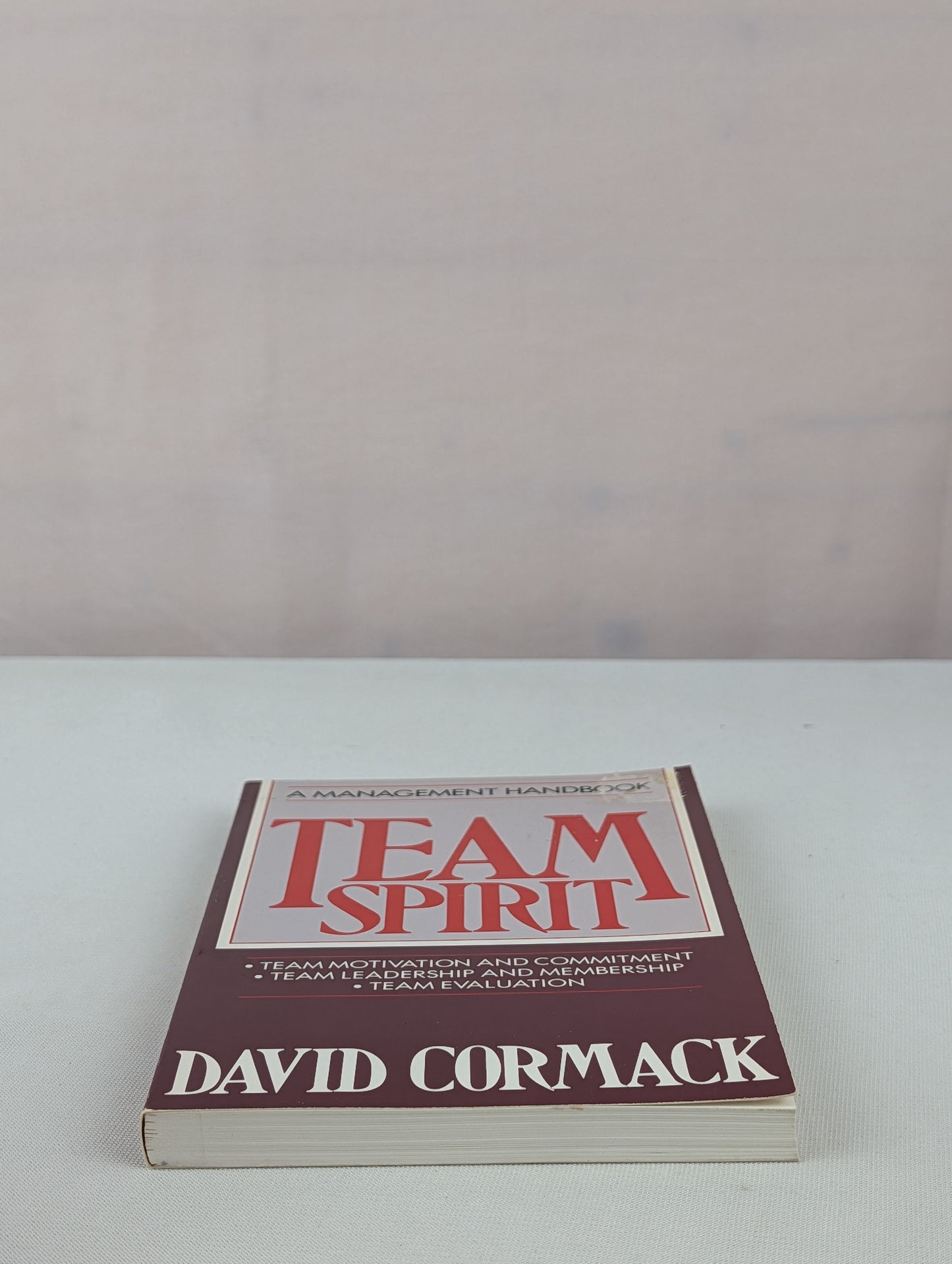 Team Spirit: A Management Handbook/Team Motivation and Commitment, Team Leadership and Membership, Team Evaluation