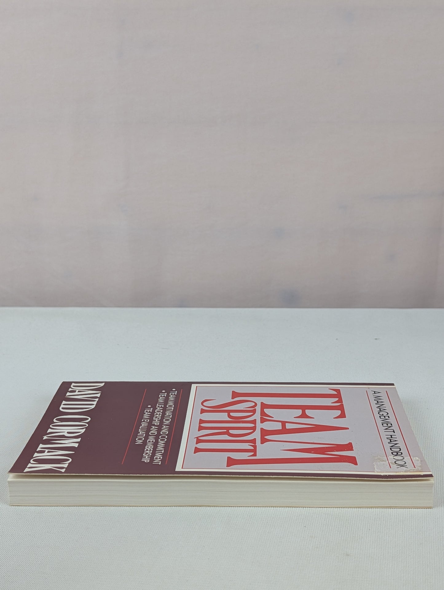 Team Spirit: A Management Handbook/Team Motivation and Commitment, Team Leadership and Membership, Team Evaluation