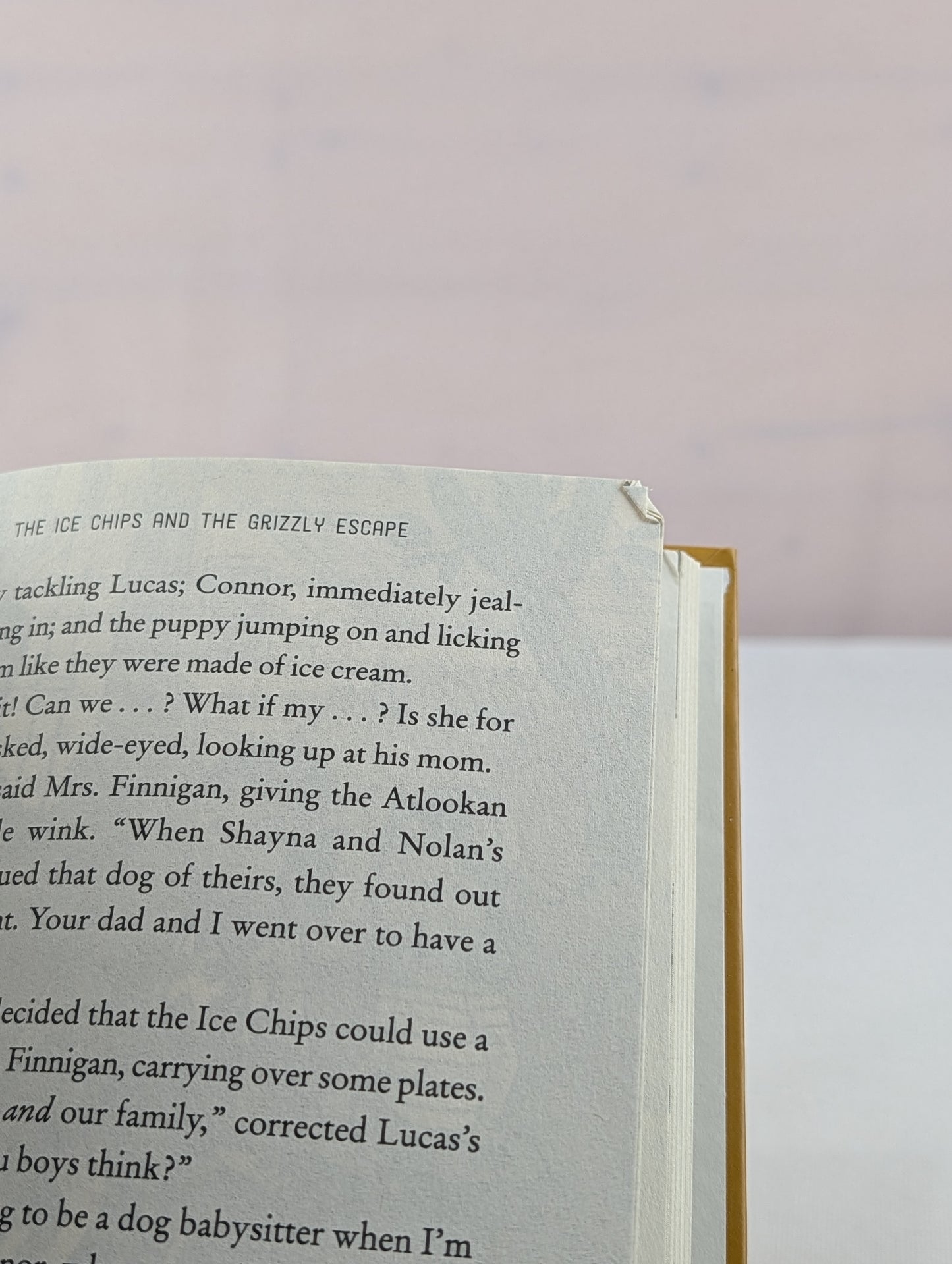 The Ice Chips and the Grizzly Escape by Roy MacGregor, Kerry MacGregor, Kim Smith