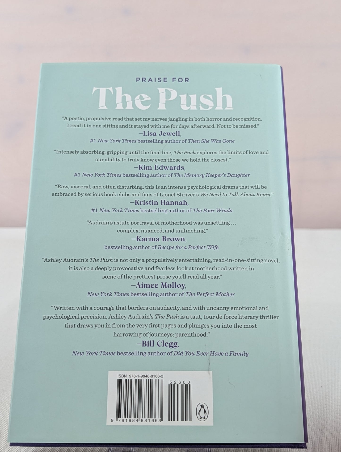 The Push: A Novel by Ashley Audrain