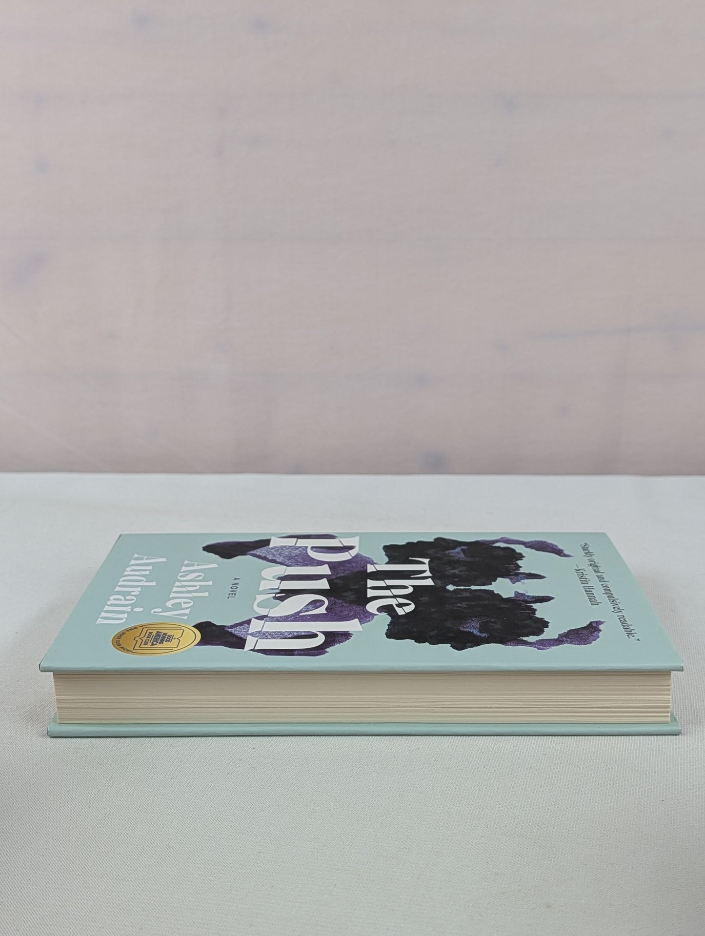 The Push: A Novel by Ashley Audrain