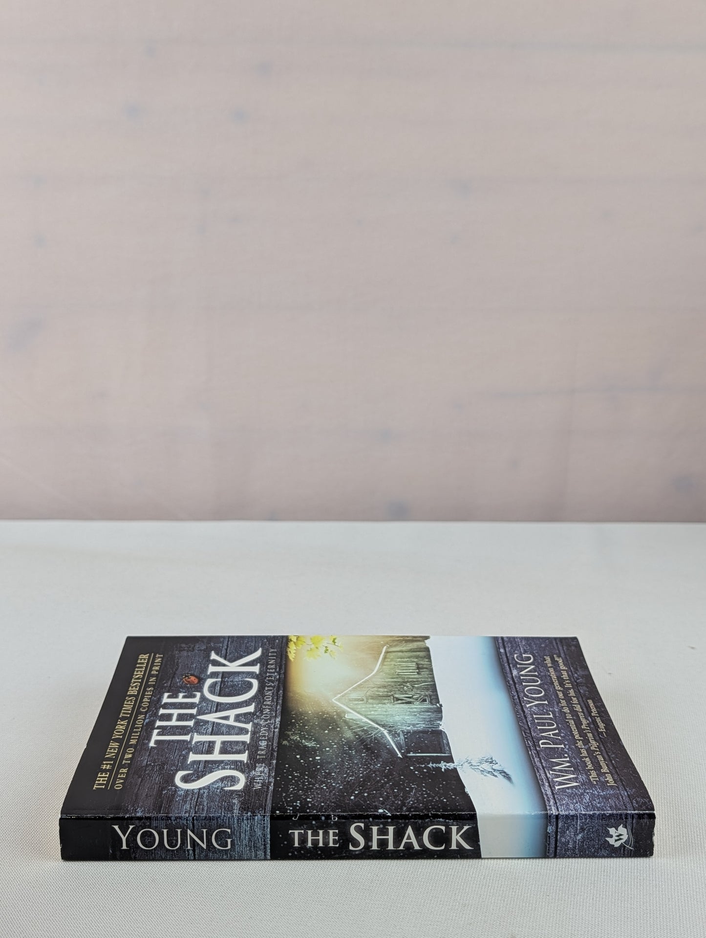 The Shack: Where Tragedy Confronts Eternity by William P. Young