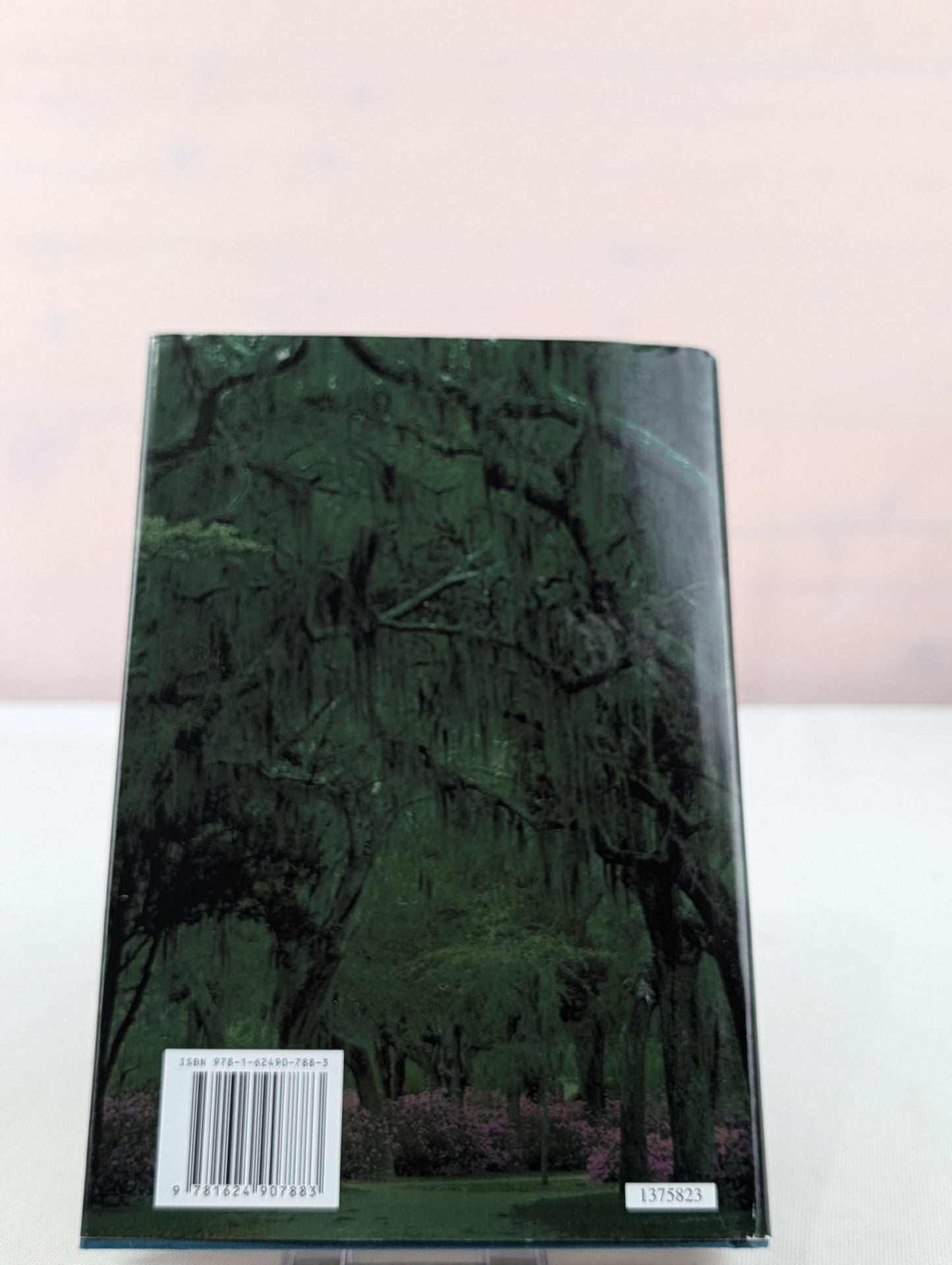 The Storycatcher by Ann Hite