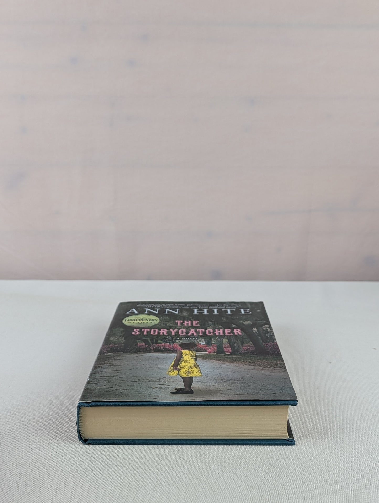 The Storycatcher by Ann Hite