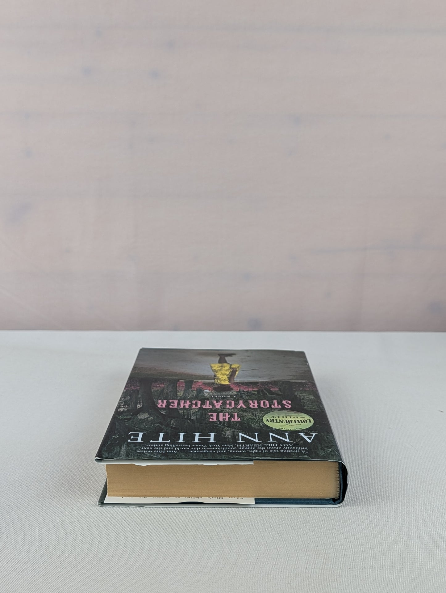 The Storycatcher by Ann Hite