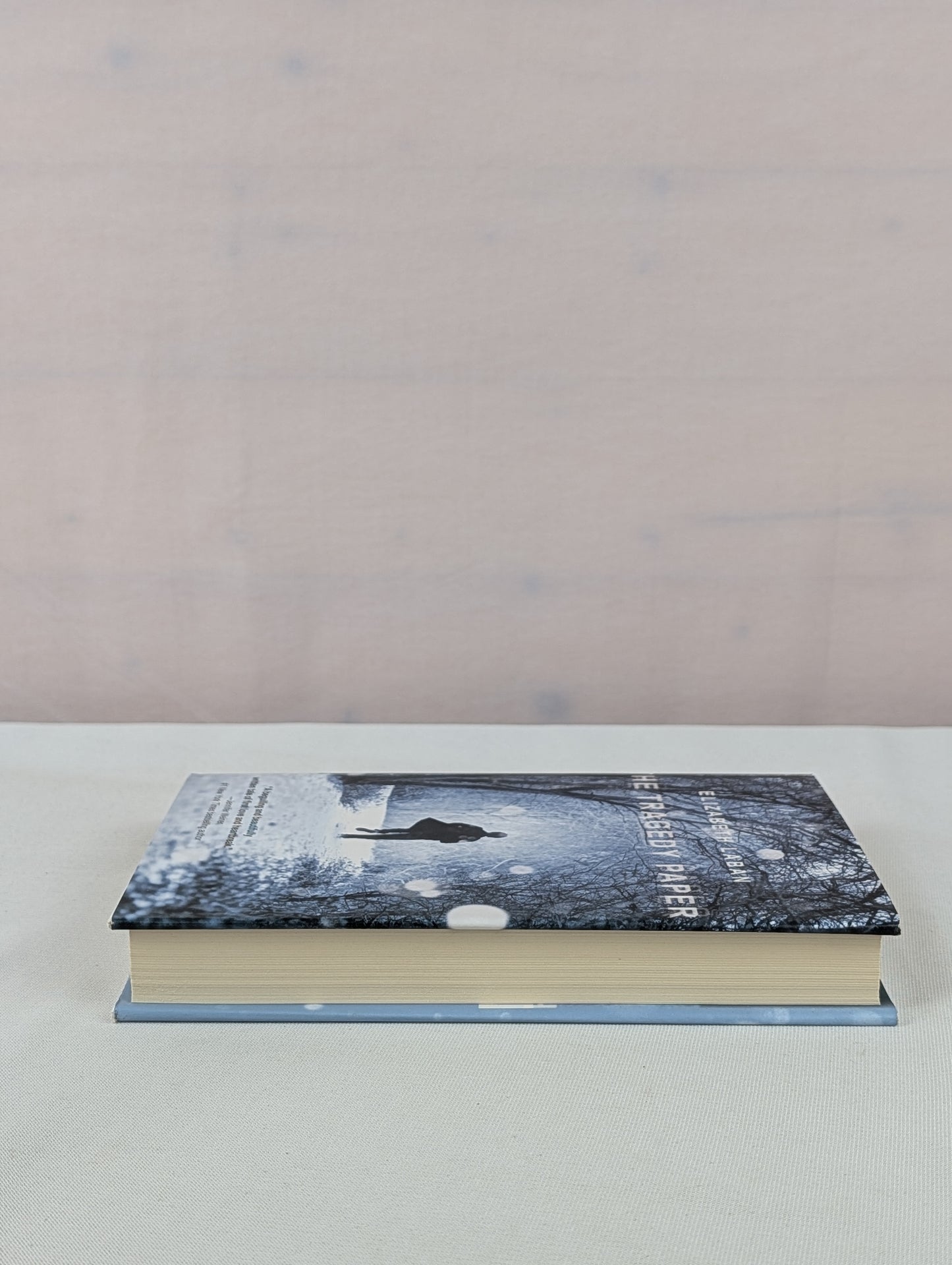 The Tragedy Paper by Elizabeth LaBan