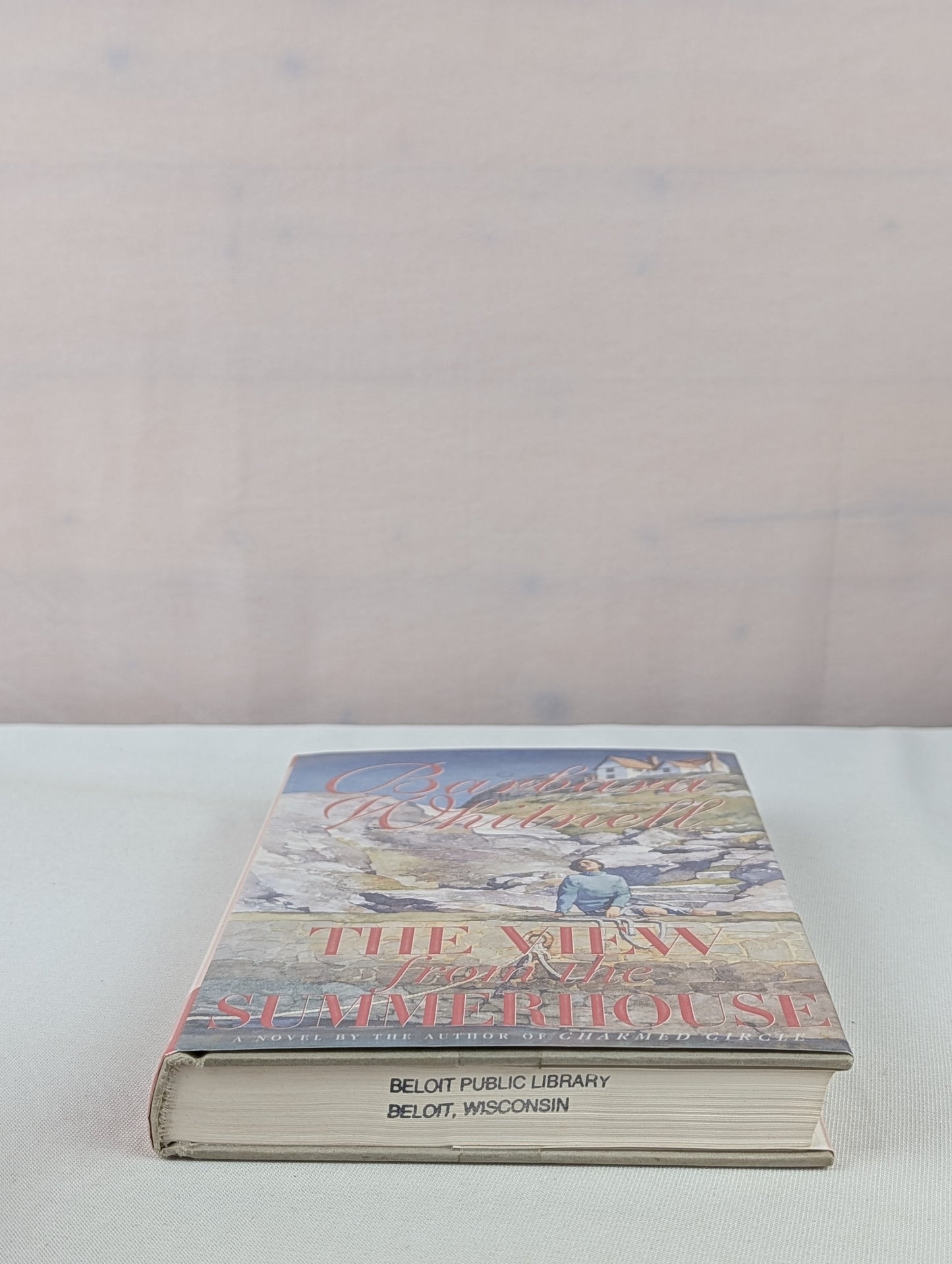 The View from the Summerhouse by Barbara Whitnell