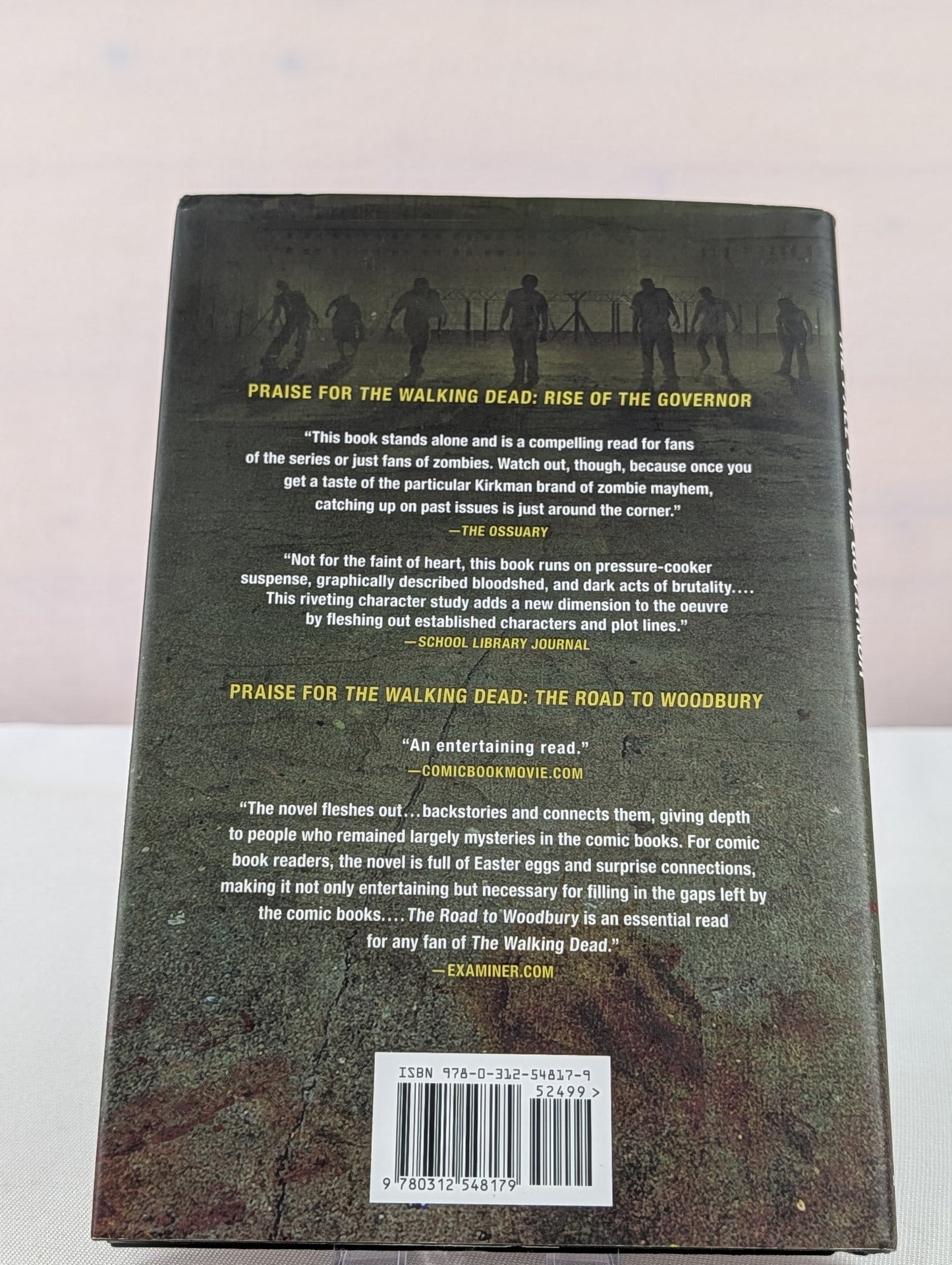 The Walking Dead: The Fall of the Governor: Part One (The Walking Dead Series) by Robert Kirkman, Jay Bonansinga