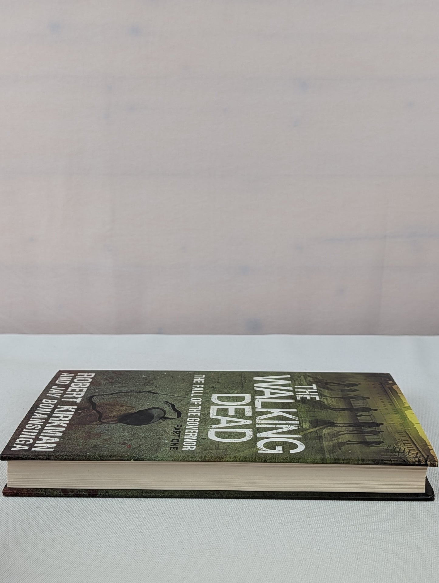 The Walking Dead: The Fall of the Governor: Part One (The Walking Dead Series) by Robert Kirkman, Jay Bonansinga