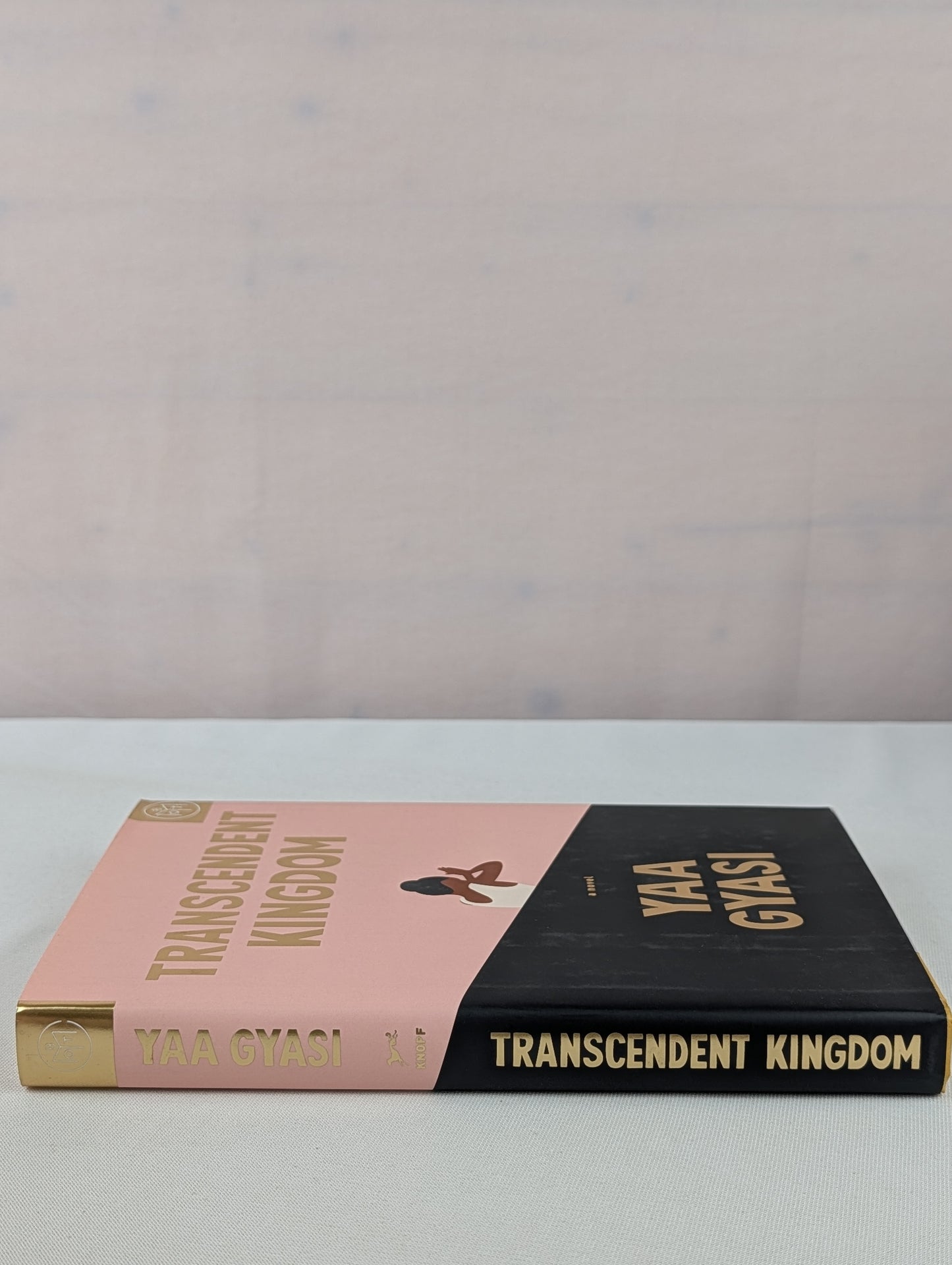 Transcendent Kingdom: A novel by Yaa Gyasi