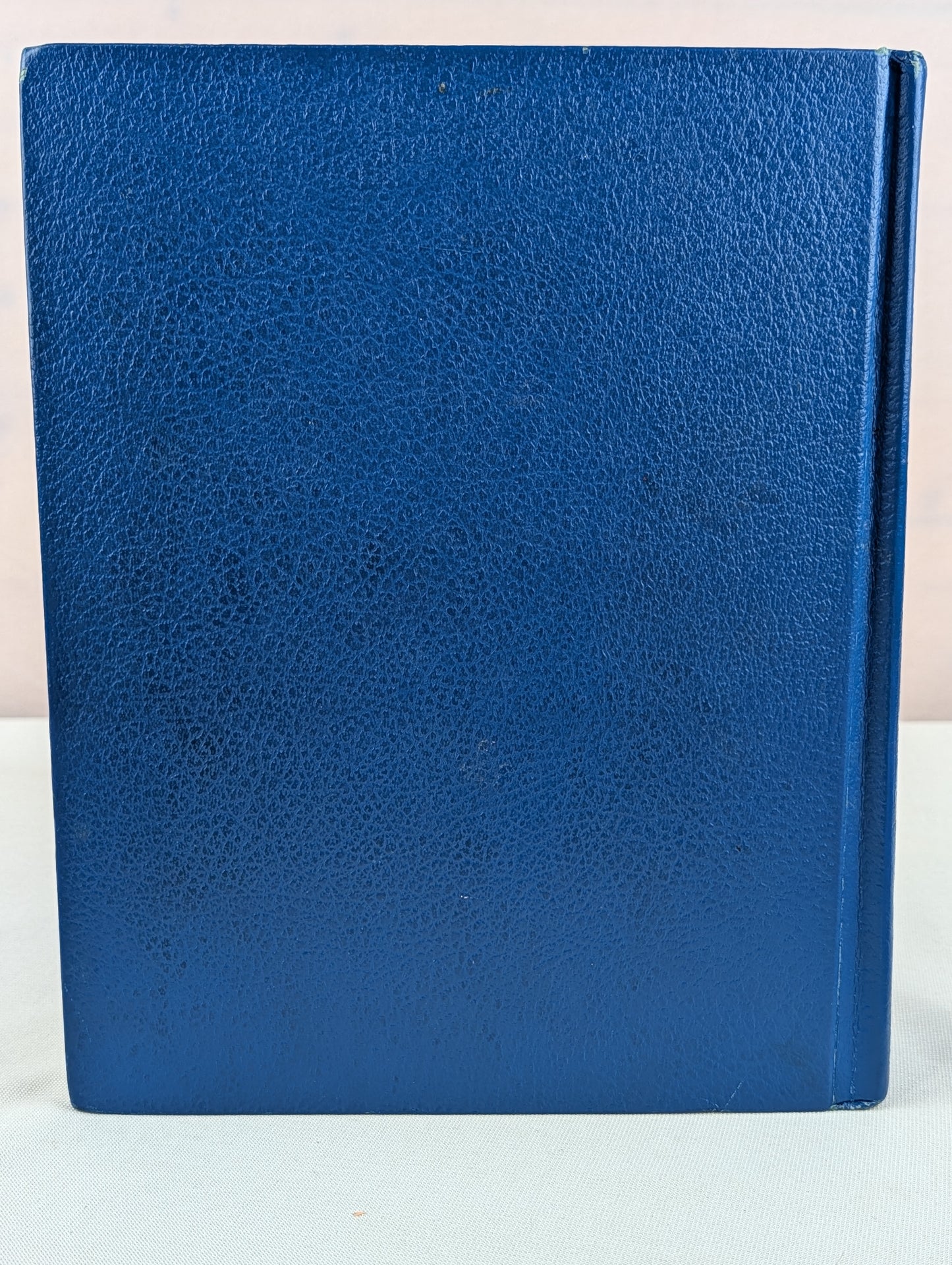 Webster's New World Dictionary, Concise Edition by Guralnik
