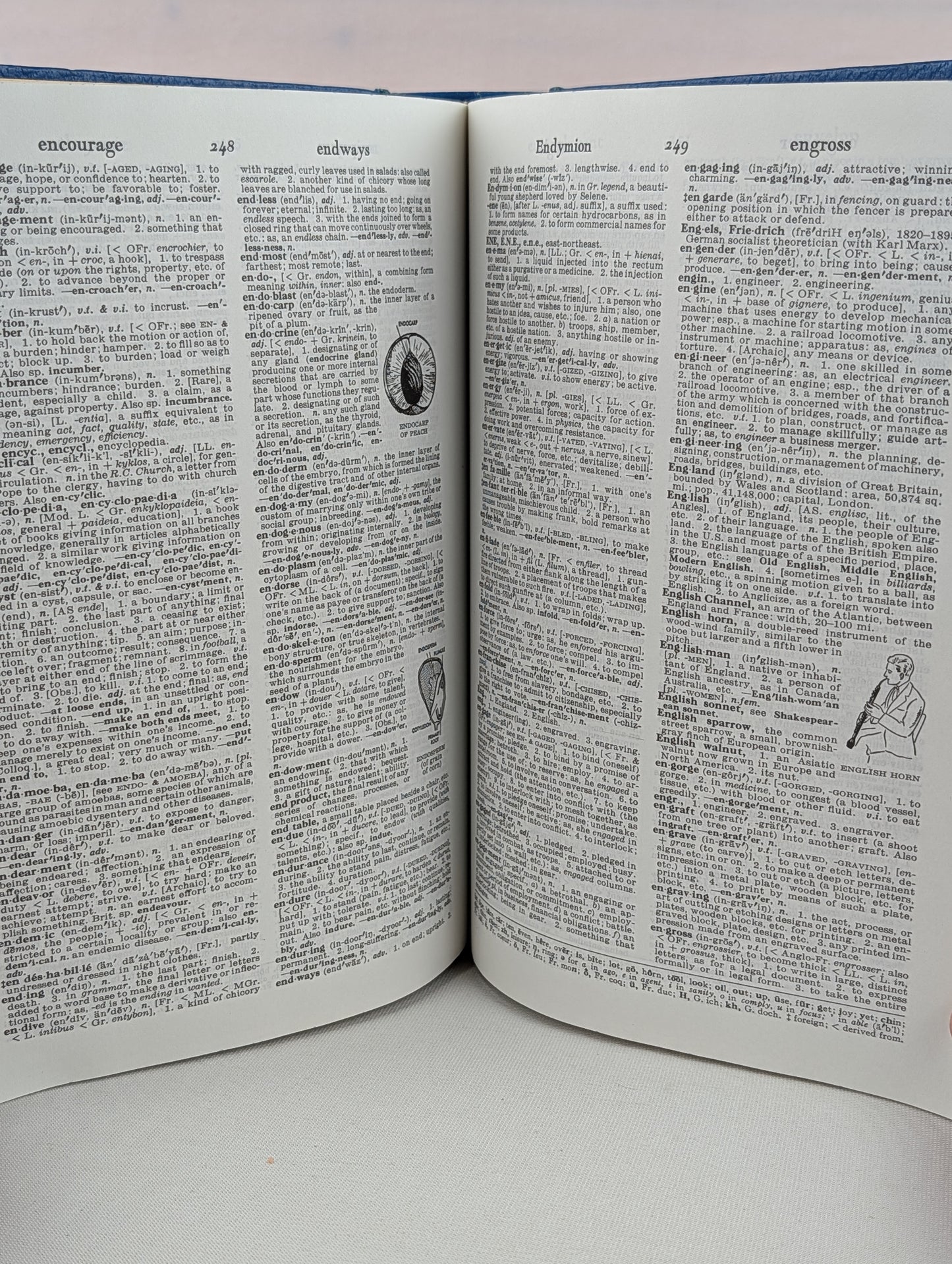 Webster's New World Dictionary, Concise Edition by Guralnik