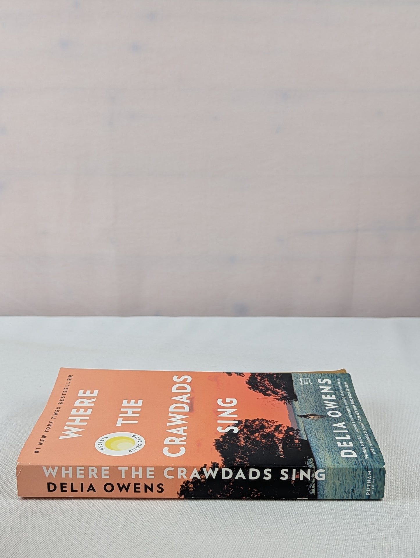 Where the Crawdads Sing: Reese's Book Club (A Novel) by Delia Owens