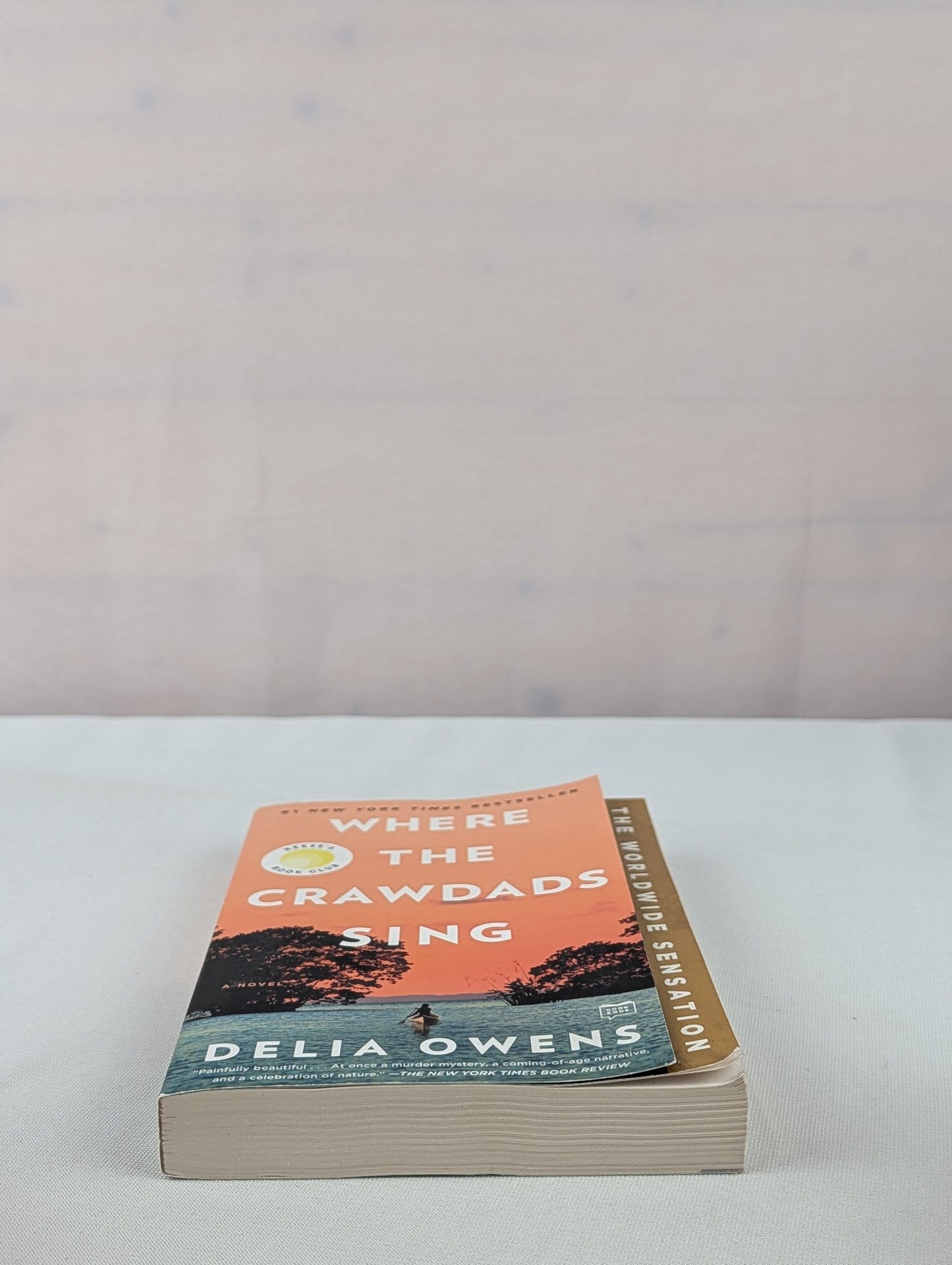 Where the Crawdads Sing: Reese's Book Club (A Novel) by Delia Owens